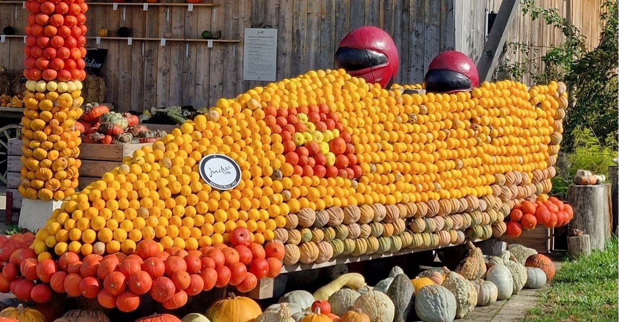 Blog 8 Aceitamos Viagens dicas de viagem,viagem pelo mundo o que fazer em zurique