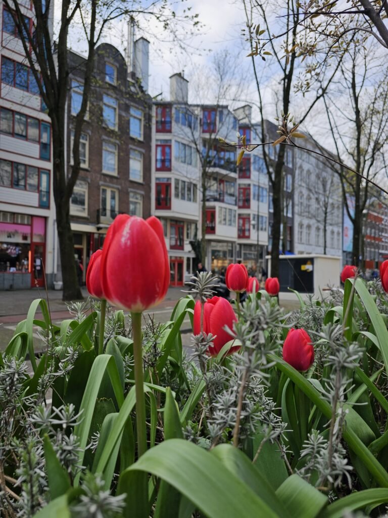 Melhores destinos de verão na Europa em 2025 17 Aceitamos Viagens verão na Europa,verao na europa melhores destinos verao na europa Amsterda